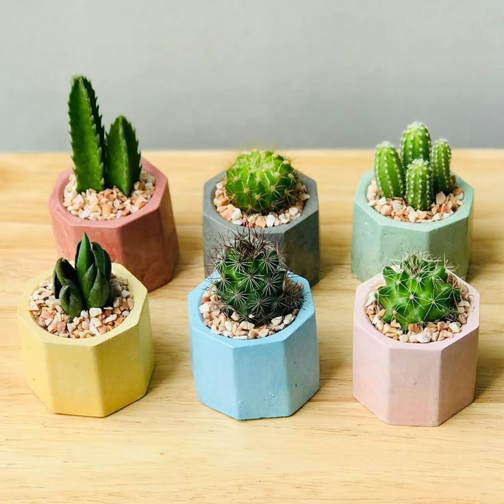 Mini Hexagon Concrete Planters