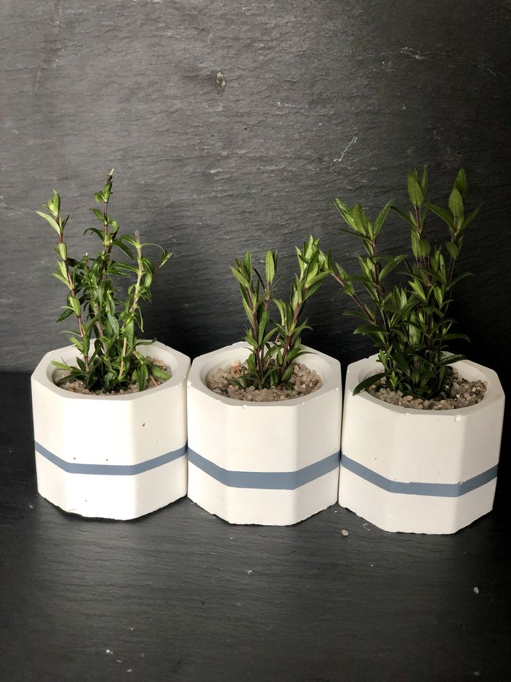 Mini Hexagon Concrete Planters